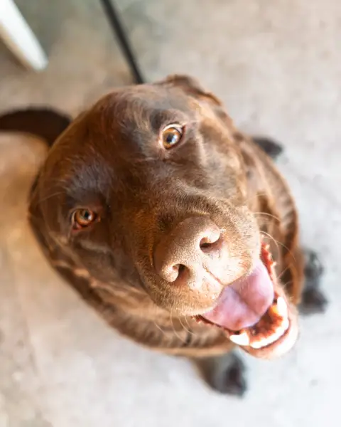 Oláaaa😁