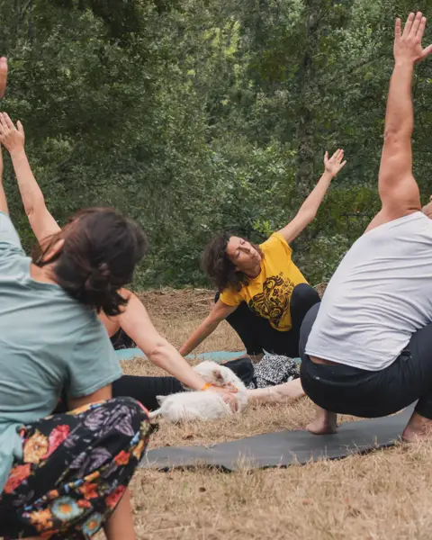 Yoga🌾